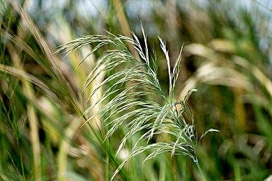 Capcom发起年终调查 Xbox商城直接被忽略